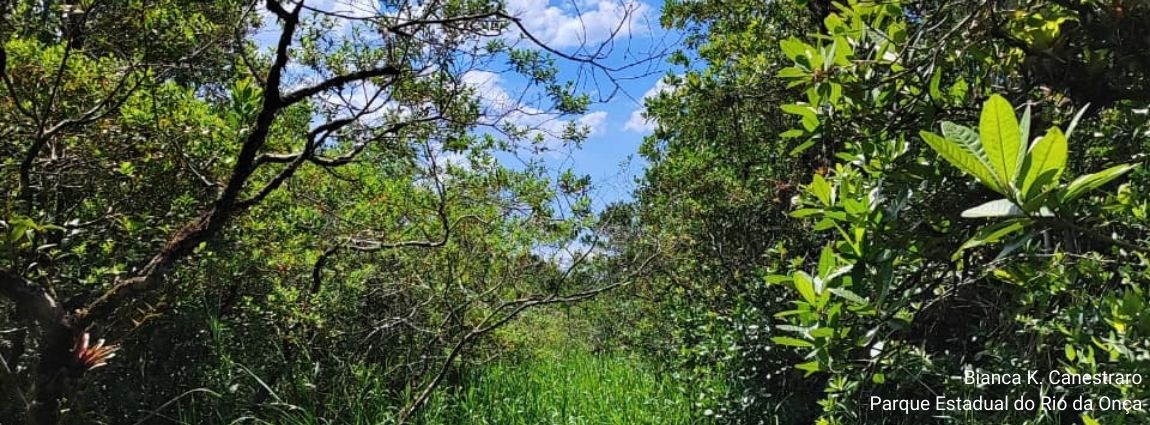 Parque Estadual do Rio da Onça